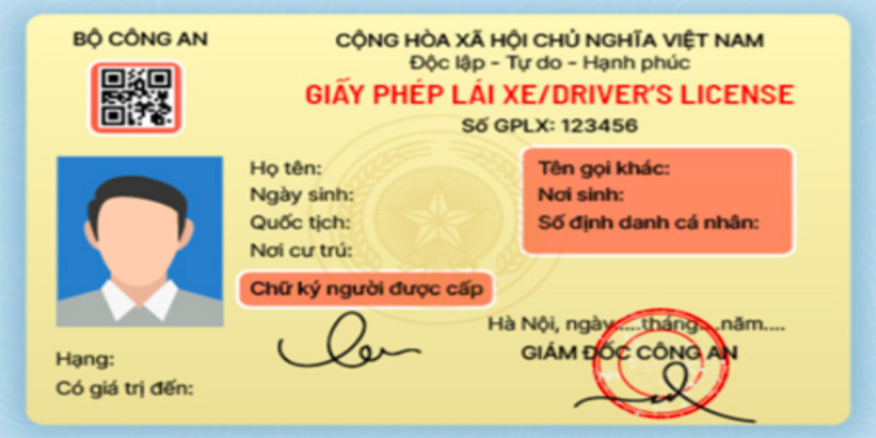 tra-so-giay-phep-lai-xe-moi-thi