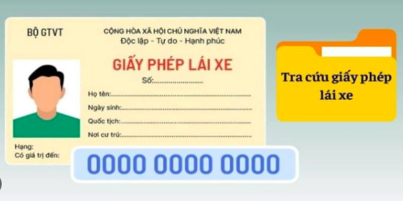 tra-so-giay-phep-lai-xe-qua-ho-ten-1