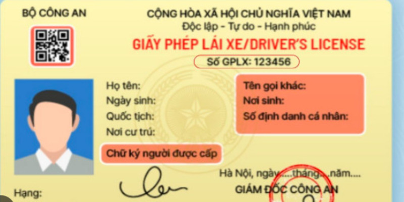 tra-so-giay-phep-lai-xe-qua-ho-ten-2