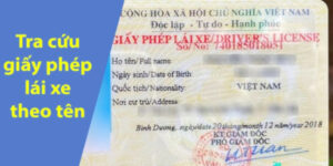 tra-so-giay-phep-lai-xe-qua-ho-ten