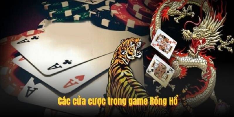 trai-nghiem-rong-ho-kubet-2