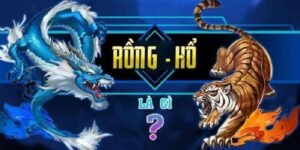 trai-nghiem-rong-ho-kubet
