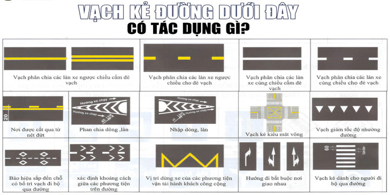 vạch-ke-duong-duoi-day-co-tac-dung-gi-1