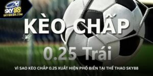 vi-sao-keo-chap-0-25-xuat-hien-pho-bien-tai-the-thao-sky88