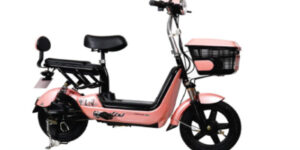 xe-dap-dien-gia-re-duoi-5-trieu-2