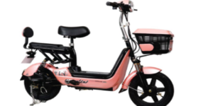 xe-dap-dien-gia-tu-3-5-trieu-2