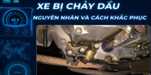 xe-tai-bi-chay-nhot-2