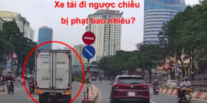 xe-tai-di-nguoc-chieu-phat-bao-nhieu-1
