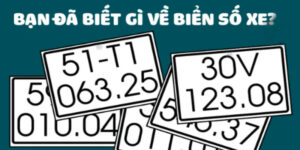 y-nghia-bien-so-xe-o-to-5-so-1